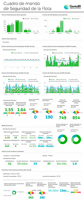 Cuadro de Seguridad de la Flota en el sector transporte